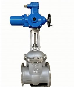 電動閘閥Z941Y-25 DN80法蘭連接硬質(zhì)合金